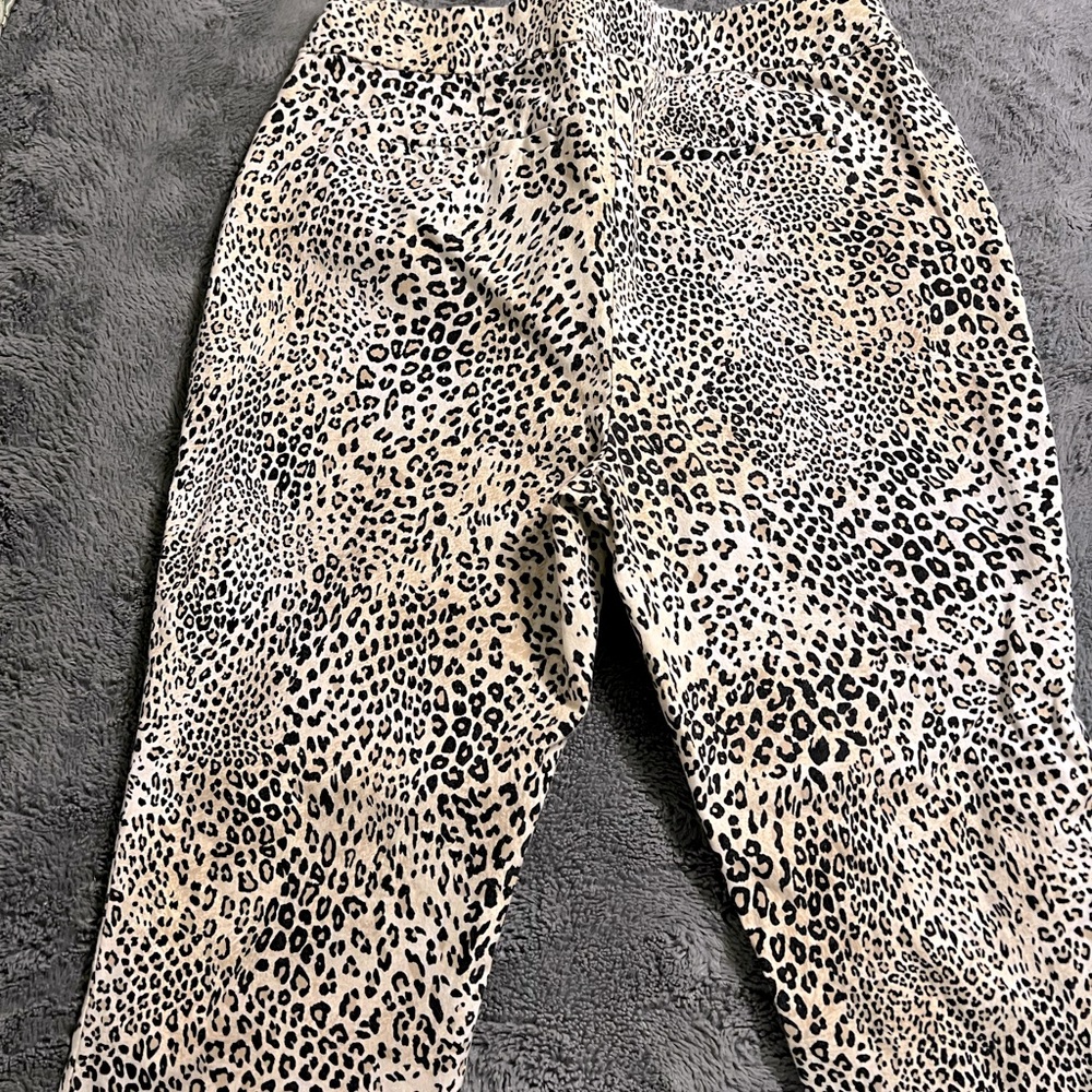 Animal Print Petite Chicos Pant